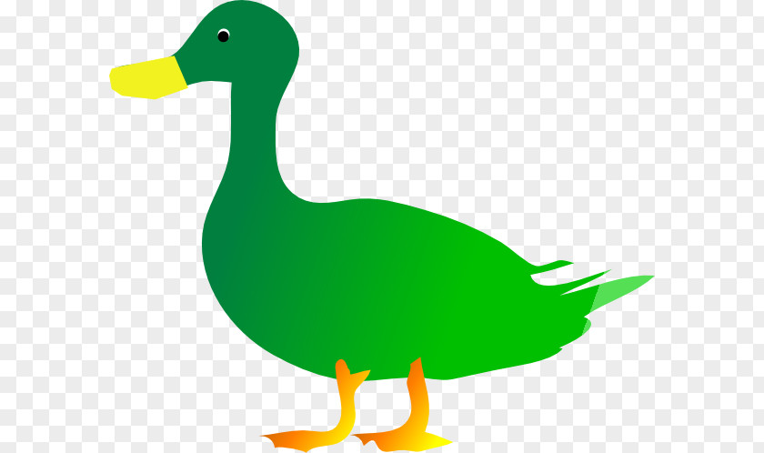 Duck Graphics Mallard Goose Clip Art PNG