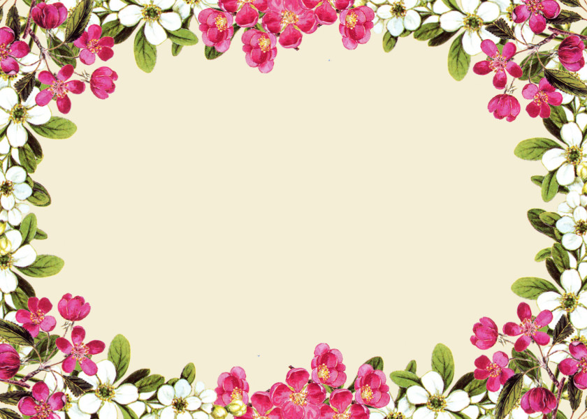 Flower Cliparts Frame Rose Pink Clip Art PNG