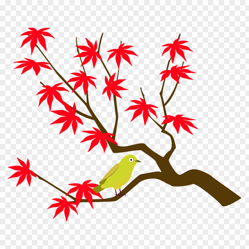 Flower Plant Stem Maple Branch Leaves Autumn Tree PNG
