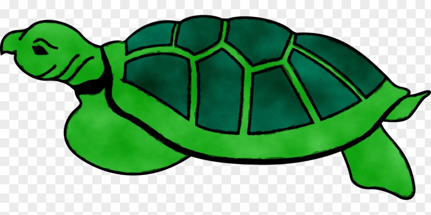 Modern Sea Turtles Reptile Clip Art Tortoise PNG