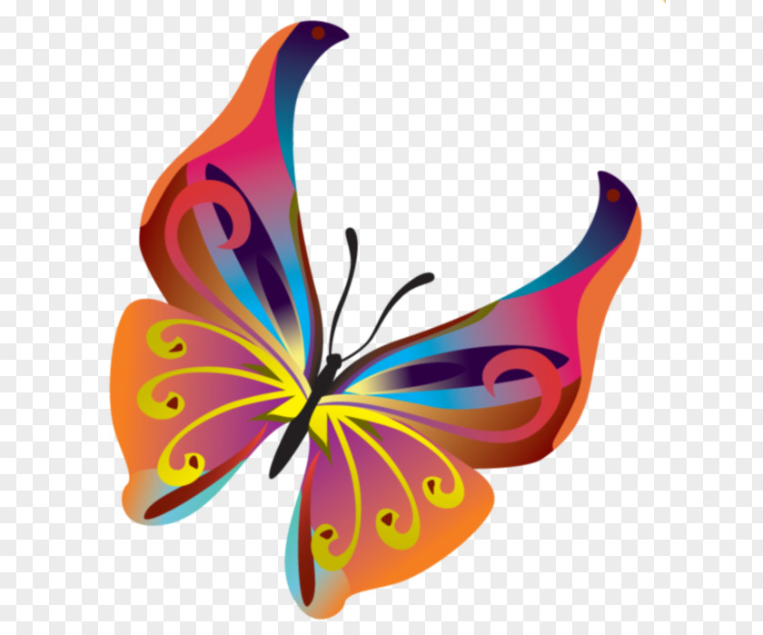 Movement Vector Butterfly Clip Art PNG