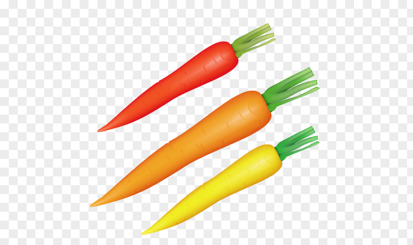 Cartoon Carrot Vegetable Radish Food PNG