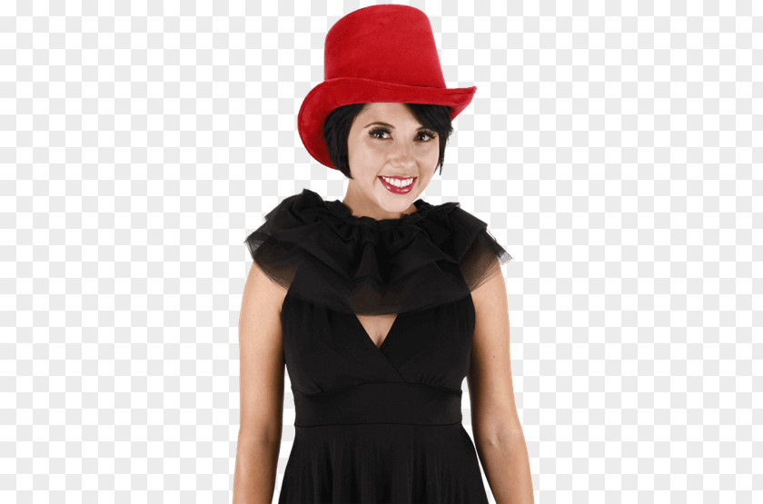 Hat Top The Cat In Cosplay Elope, Inc. PNG