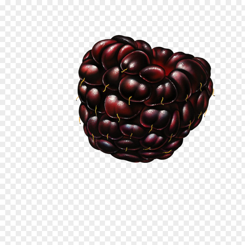 Pomegranate Fruit Raspberry Blackberry Mulberry PNG