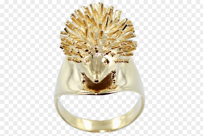 Ring Earring Bijou Chevalière Jewellery PNG