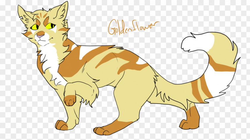 Cat Whiskers Lion Goldenflower Warriors PNG