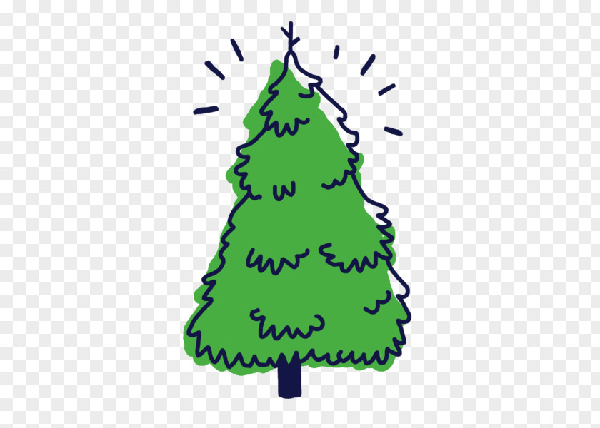 Christmas Tree Fraser Fir Spruce Balsam Clip Art PNG
