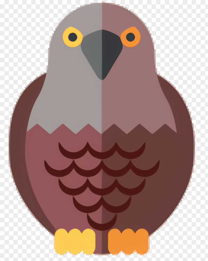 Falconiformes Eagle Drawing PNG