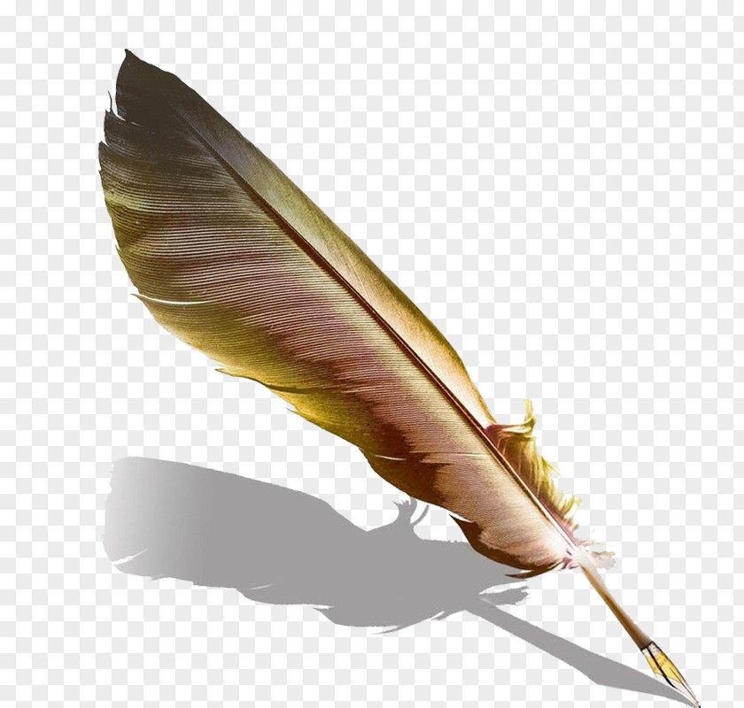 Feather Pen Quill Fountain PNG