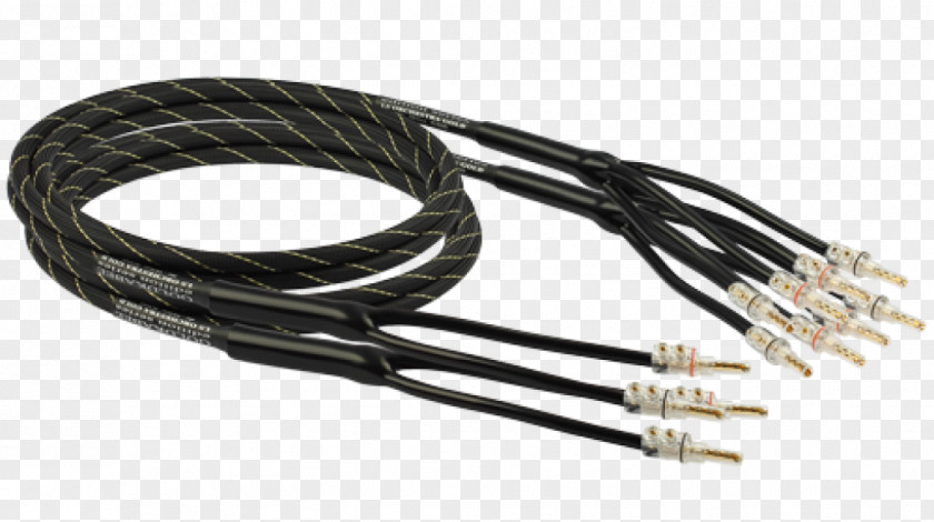 Gold Coaxial Cable Bi-wiring Bi-amping And Tri-amping Electrical Speaker Wire PNG