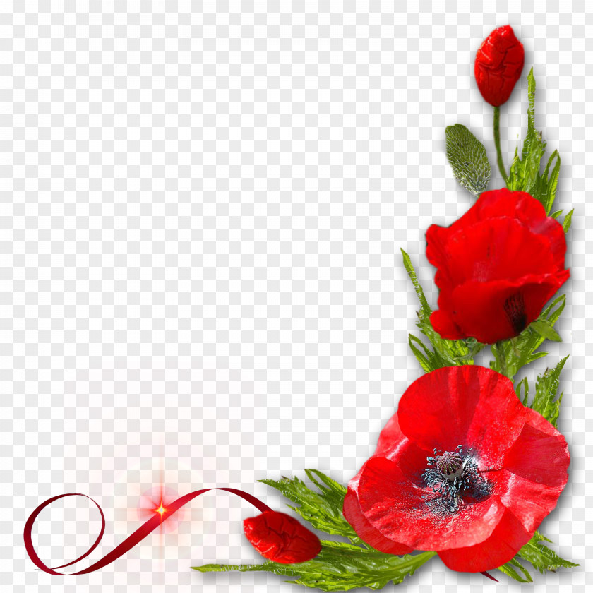 Red Floral Decoration Pattern Poppy Flower PNG
