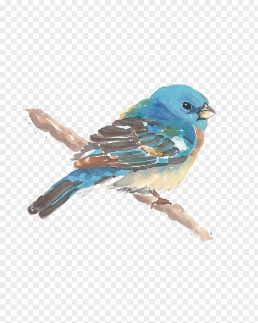 Bird Watercolor Painting Drawing Image PNG