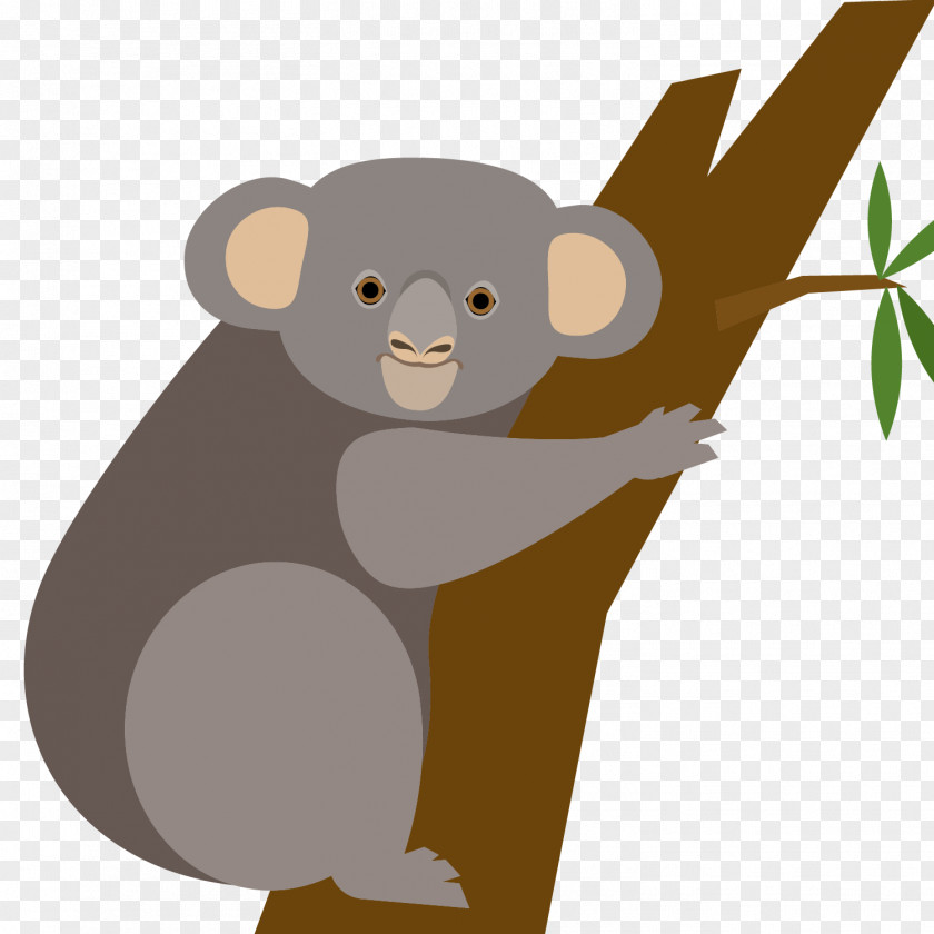 Cartoon Koala Vector Bear Euclidean PNG