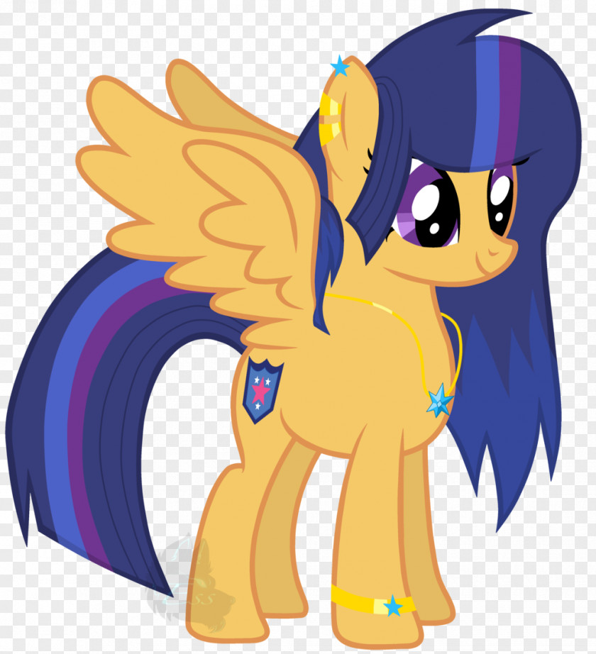 Color Aura Twilight Sparkle Pony Princess Cadance YouTube Flash Sentry PNG