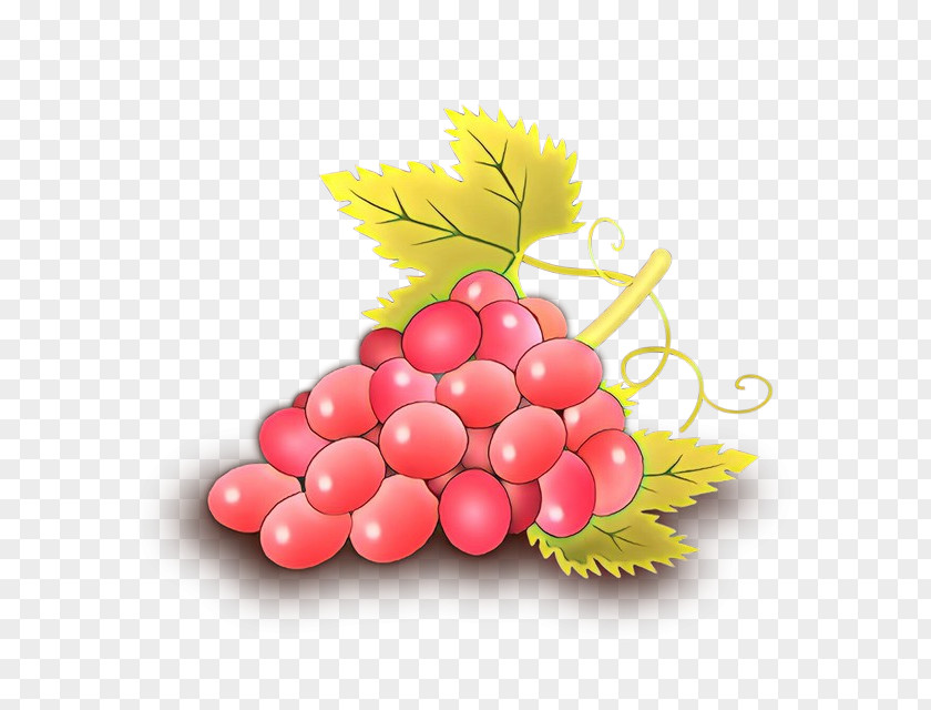 Grape Seedless Fruit Leaf Grapevine Family PNG