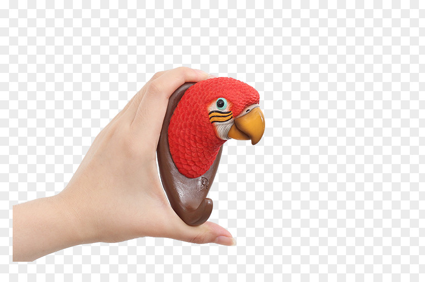 Hook Decorative Hand Parrot Download PNG