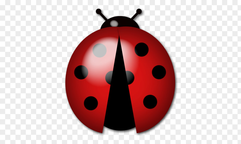 Ladybug Ladybird Beetle PNG