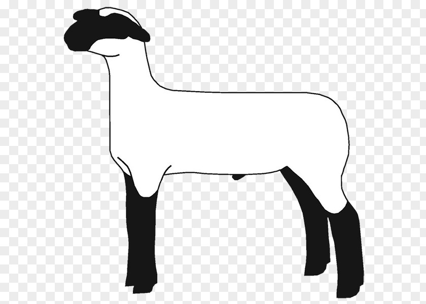 Sheep Goat Cattle Clip Art Mammal PNG