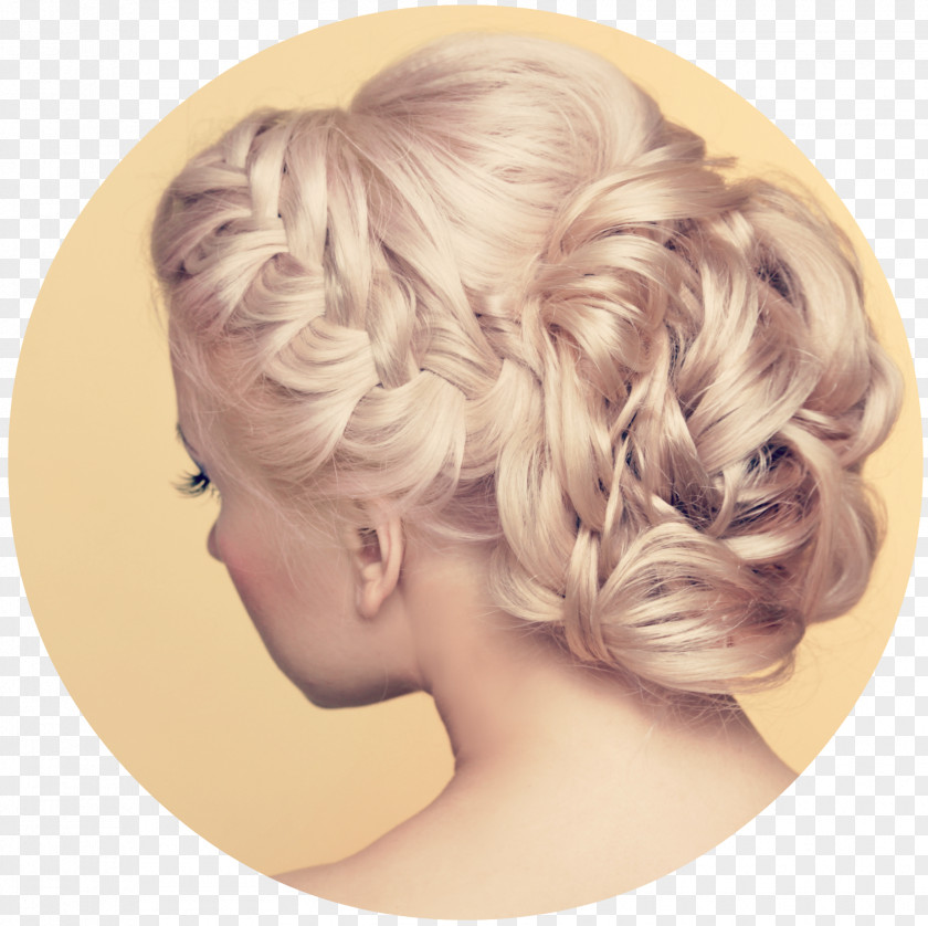 Braided Hairstyle Beauty Parlour Updo Bride PNG