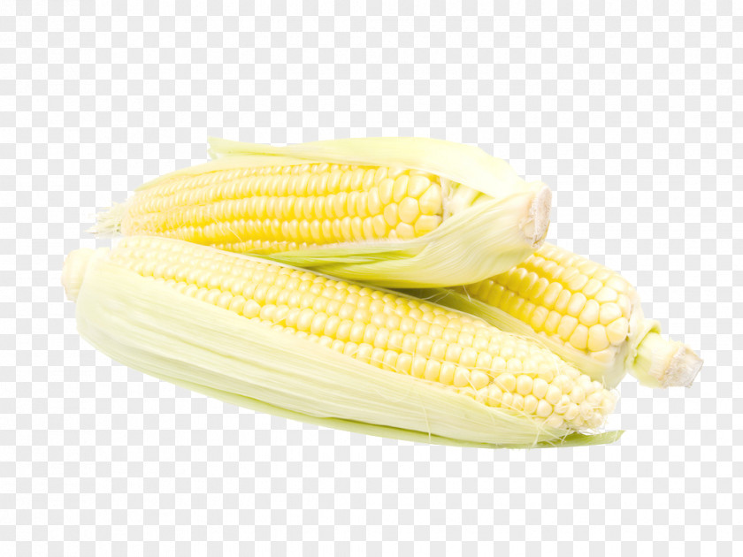 Golden Corn On The Cob Kernel Starch Maize Corncob PNG