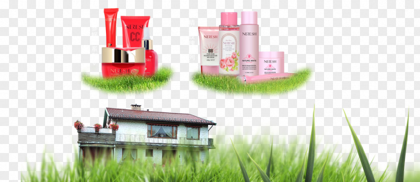 Grass House Products Lawn Gratis PNG