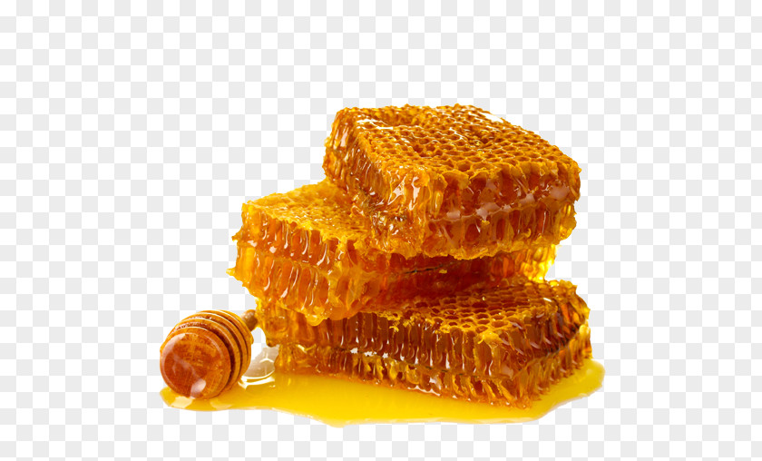 Honey Organic Food Mānuka Bee Honeycomb PNG