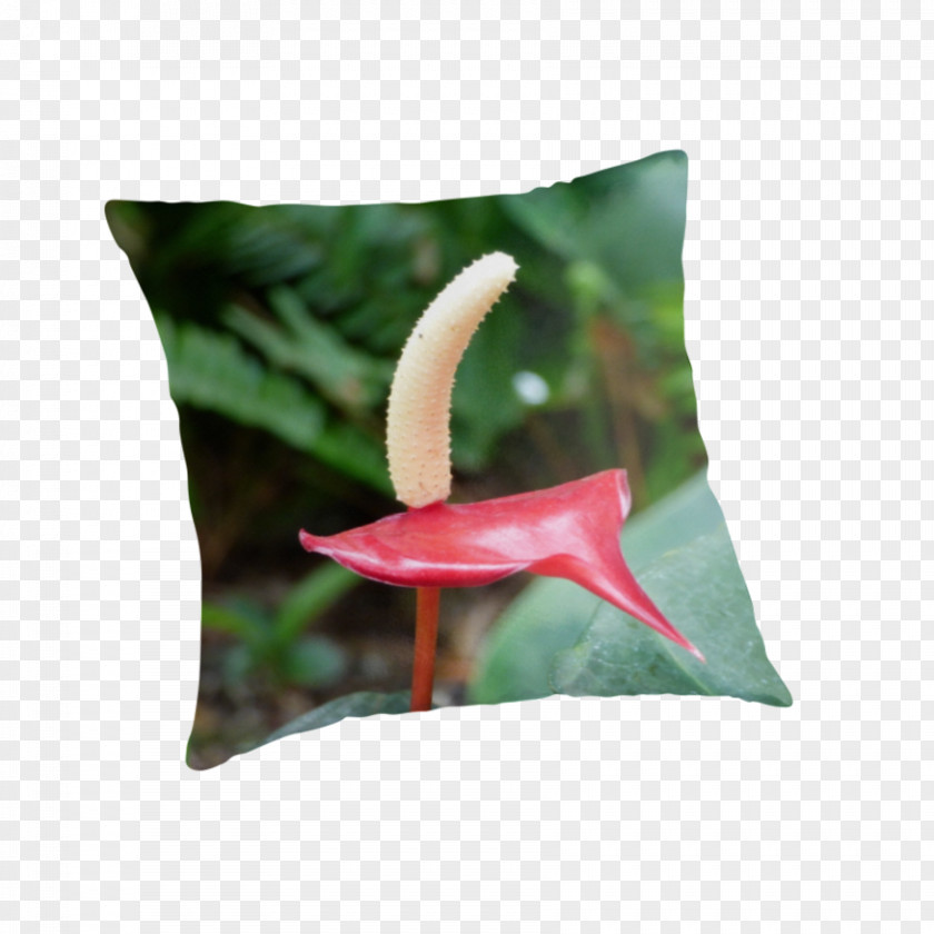 Stamens Throw Pillows Cushion PNG