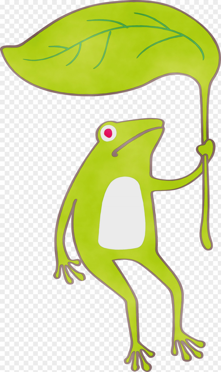 True Frog Tree Frogs Cartoon Toad PNG