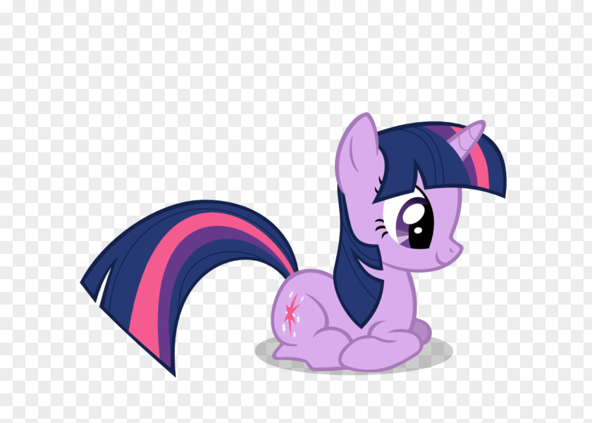 Twilight Sparkle Pony Spike Rainbow Dash Pinkie Pie PNG