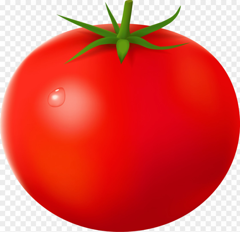 Vegetable Clip Art Transparency Cherry Tomato Image PNG