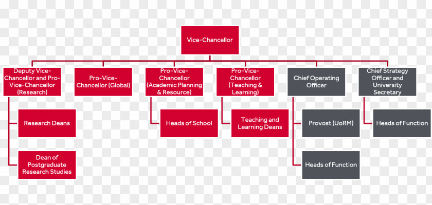 AKD Group Organizational Structure Purchasing Centralisation PNG structure Centralisation, Business clipart PNG