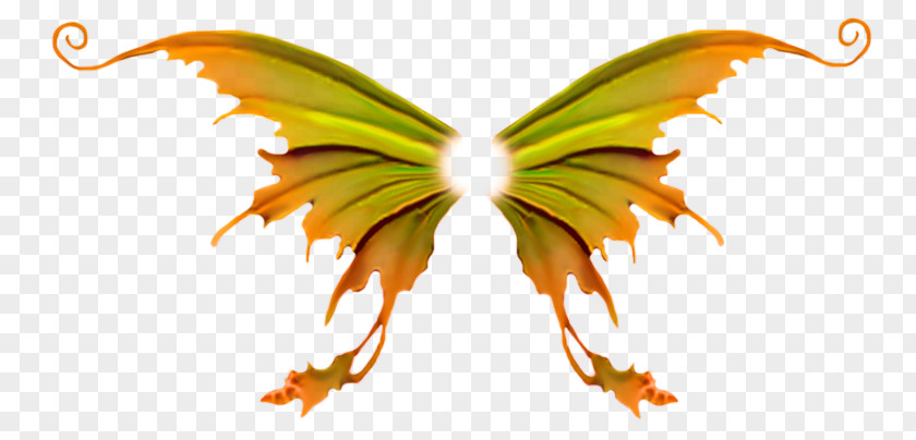 Butterfly Wing PNG