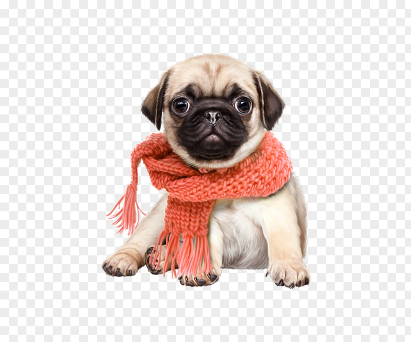 Cute Dog Pug Shiba Inu Snoopy Puppy Cat PNG