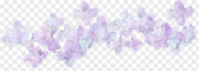 Flower Border Background PNG