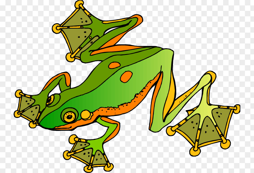 Frog Poison Dart Clip Art PNG