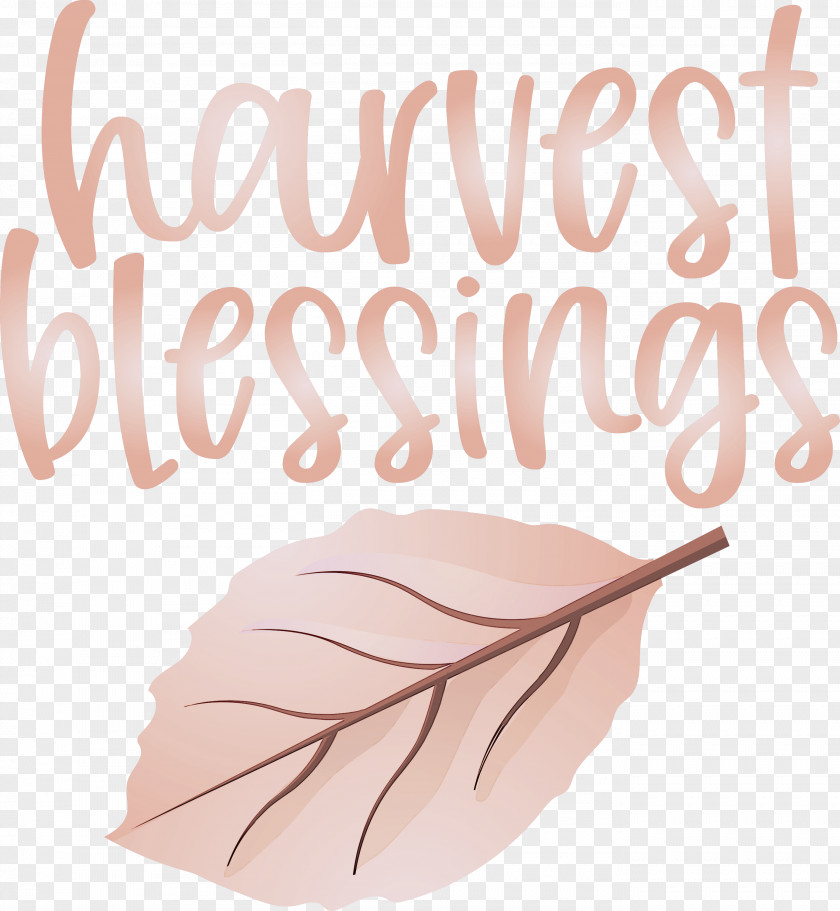 Harvest Autumn Thanksgiving PNG