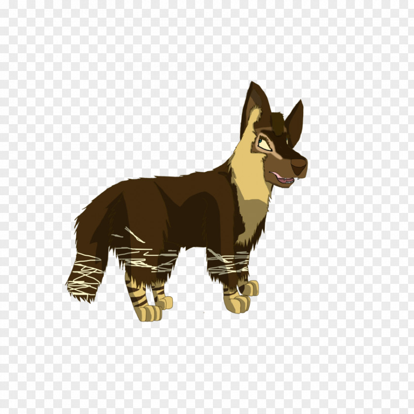 Hyena Cat Dog Breed Pet PNG