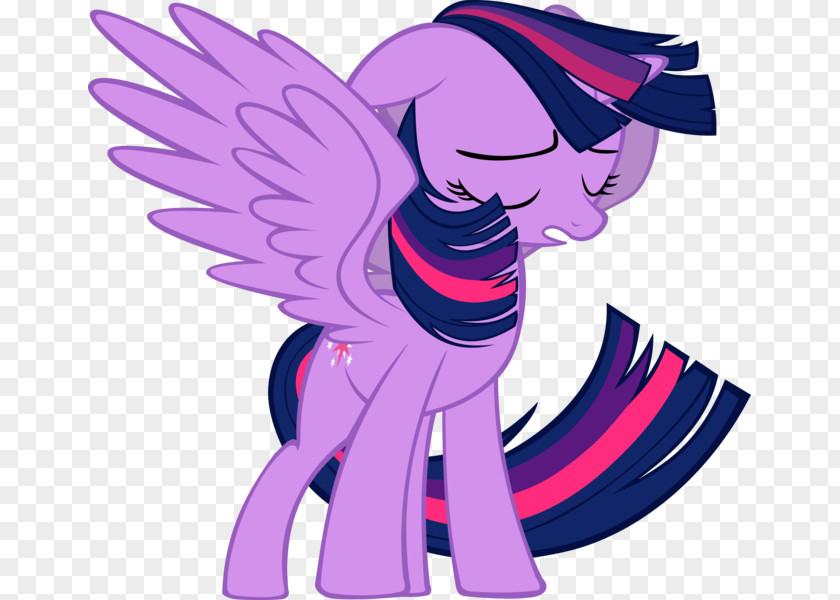 Painter Twilight Sparkle Rainbow Dash Pony Fluttershy Rarity PNG