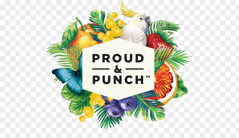 Cartoon Parrots And Flowers Border Peters Ice Cream Juice Punch Fruit PNG