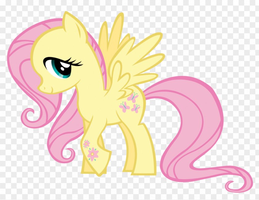 My Little Pony Fluttershy Pinkie Pie Rarity Twilight Sparkle Rainbow Dash PNG