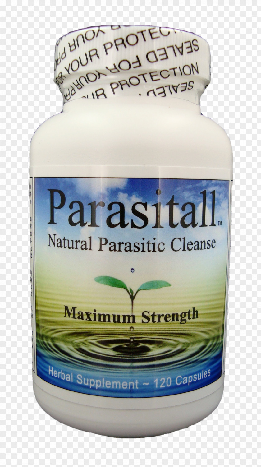 Natural Ingredients Dietary Supplement Parasitism Intestinal Parasite Infection Human Detoxification PNG