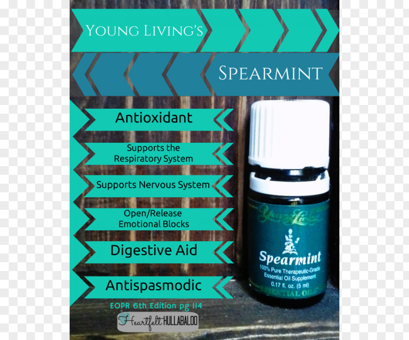 Oil Young Living Essential Mentha Spicata DoTerra PNG