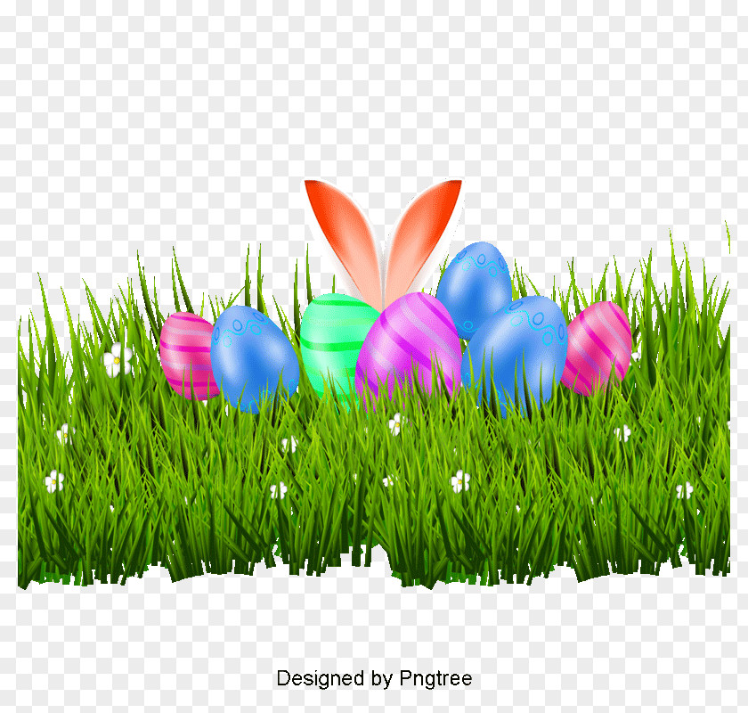 Plant Grass Family Easter Egg Background PNG
