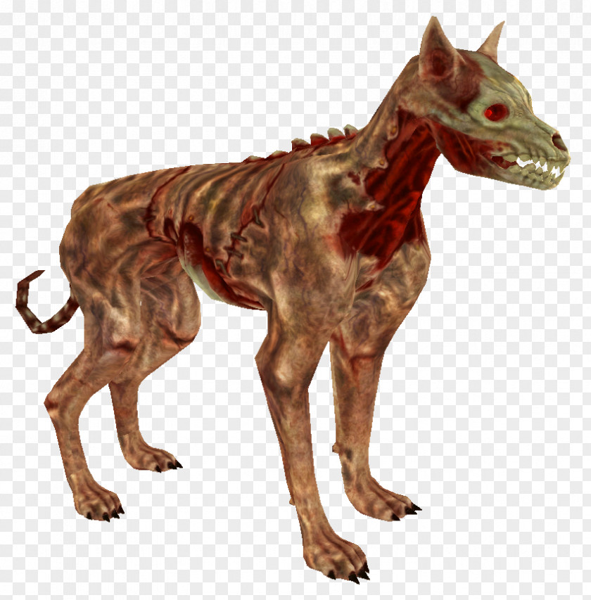 Dog Shivering Isles The Elder Scrolls III: Morrowind V: Skyrim Breed PNG