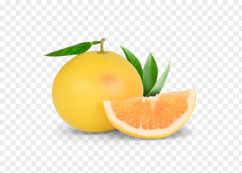 Grapefruit Clementine Lemon Mandarin Orange PNG