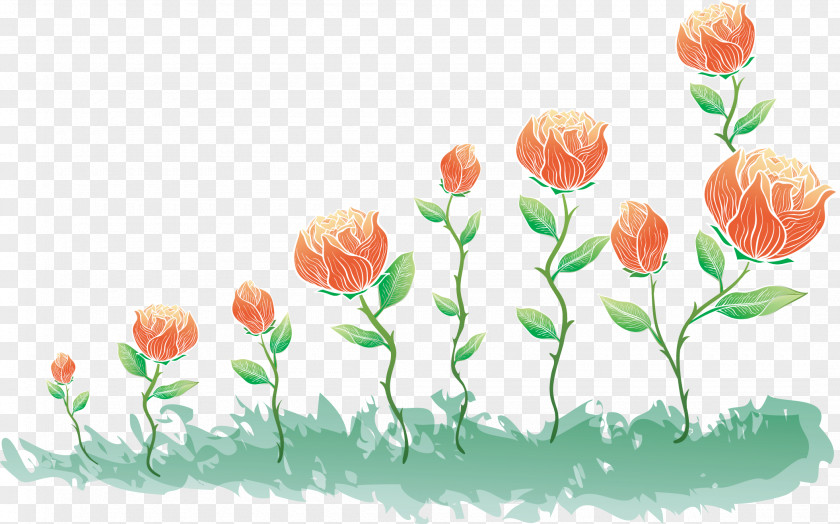 Handpainted Flowers Flower Rose PNG