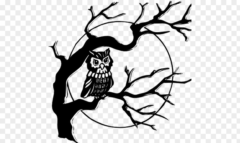 Owl Clip Art PNG