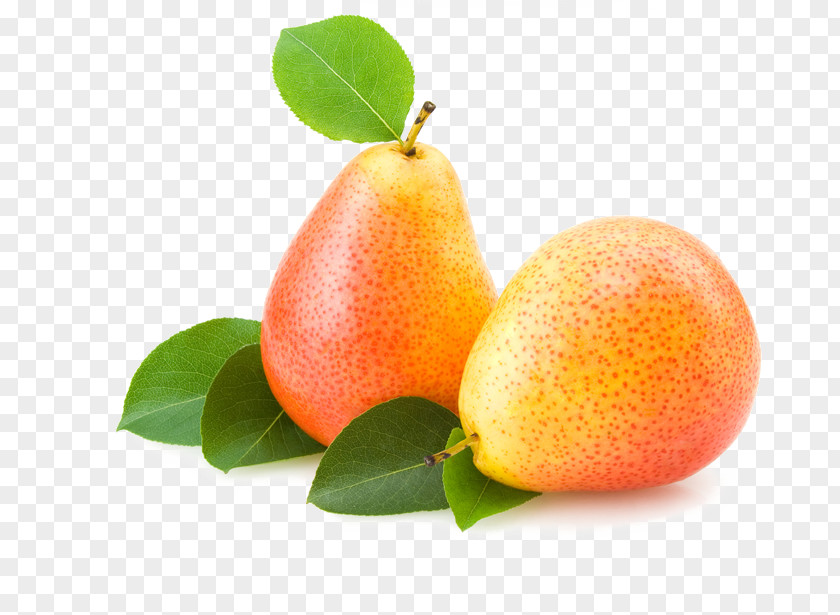 Pear Fruit Icon PNG