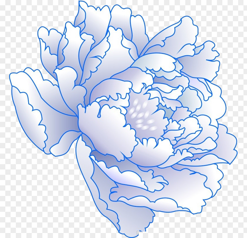 Peony Floral Design Flower Pattern PNG