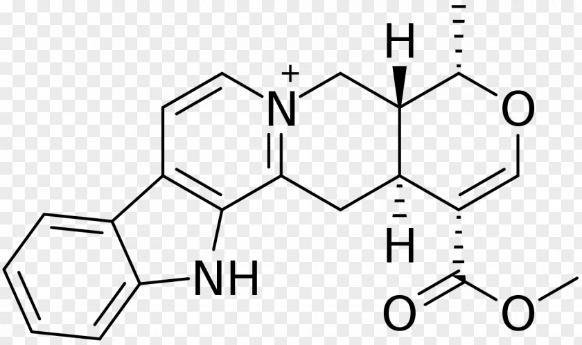 Serpentine Isoprenaline Isoproterenol Hydrochloride Agonist Adrenergic Receptor PNG